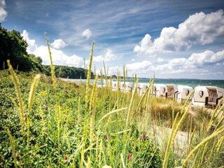 Vakantiehuis Tarnow Omgeving 31
