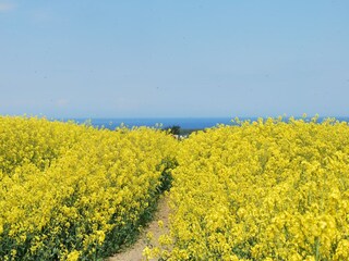 Appartamento Neubukow Ambiente 30