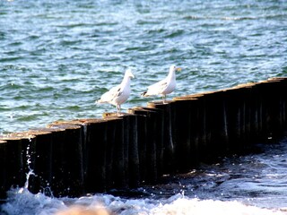 Appartamento Wismar Ambiente 31