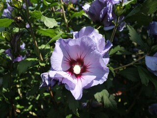 Apartment Wismar  40