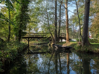 Mitten im Spreewald