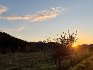 Vakantiehuis Caldana Omgeving 37