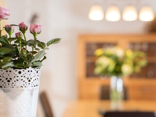 Vakantieappartement Greetsiel Kenmerken 4