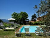 Holiday apartment Castelfranco di Sopra Outdoor Recording 1