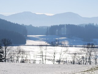 Blick auf den Niedersonthofener See