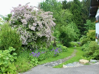 Einblicke in unseren Garten