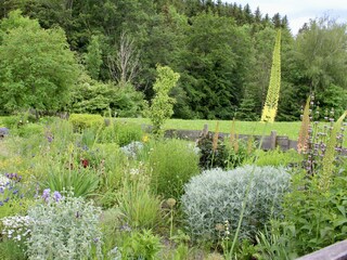 Einblicke in unseren Garten