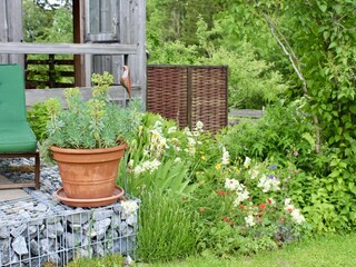 Einblicke in unseren Garten