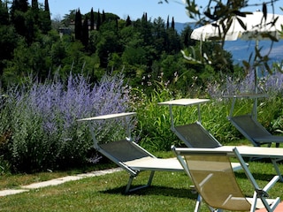 Holiday apartment Castelfranco di Sopra Outdoor Recording 5