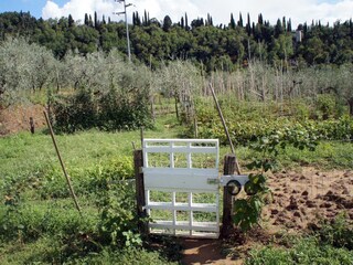 Holiday apartment Castelfranco di Sopra Environment 20