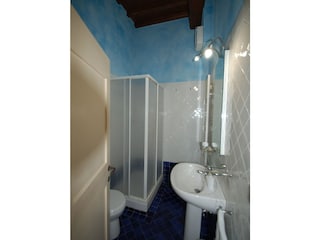 Holiday apartment Castelfranco di Sopra Features 14