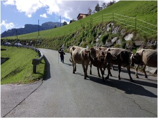 Ferienwohnung Hippach Umgebung 7