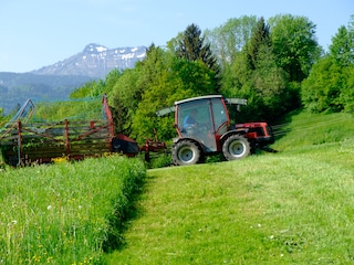 Ferienwohnung Egg in Vorarlberg Außenaufnahme 5