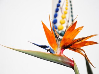 Casa per le vacanze Chiclana de la Frontera Registrazione all'aperto 4