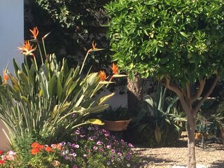 Casa per le vacanze Chiclana de la Frontera Registrazione all'aperto 5