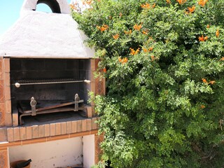 Casa per le vacanze Conil de la Frontera Registrazione all'aperto 7