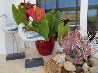 Casa per le vacanze Conil de la Frontera Caratteristiche 24