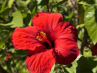 Casa per le vacanze Conil de la Frontera Registrazione all'aperto 6