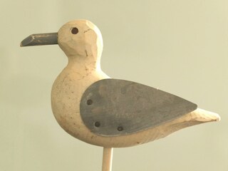 Casa per le vacanze Conil de la Frontera Caratteristiche 25