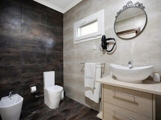 Villa Salir do Porto Caratteristiche 17