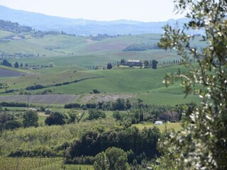 Holiday house Chianni Environment 30