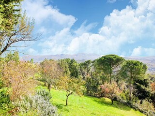 Ferienhaus Chianni Umgebung 27