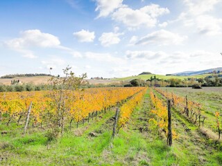 Maison de vacances Chianni Environnement 35