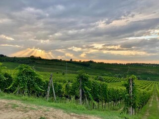 Ferienhaus Chianni Umgebung 30