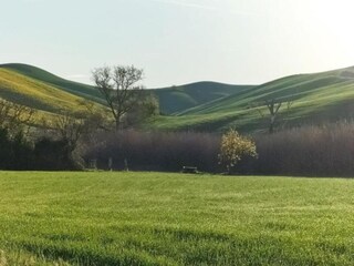 Casa per le vacanze Chianni Ambiente 38