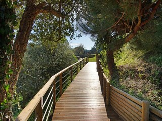 Villa Salir do Porto Entorno 19
