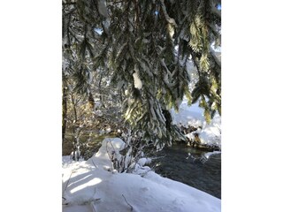 Chalet Flachau Registrazione all'aperto 6