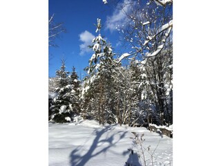 Chalet Flachau Omgeving 21