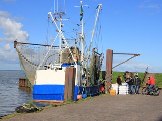 Maison de vacances Dangast Environnement 26