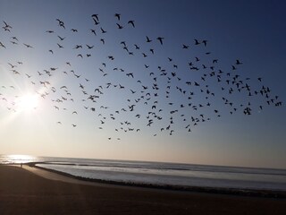 Ferienhaus Wöhrden Umgebung 26