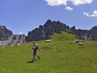 Bergwandern in Tirol - ein Genuß