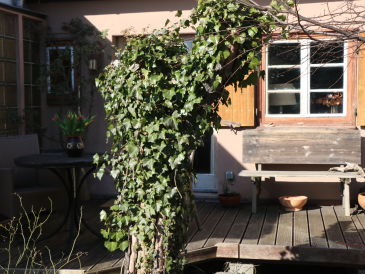 Ferienhaus Witta