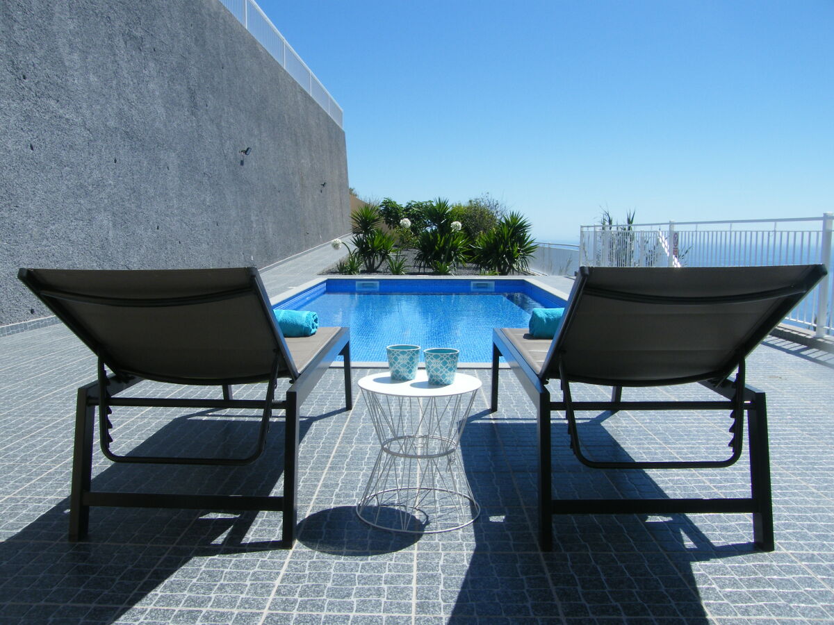 Pool and tropical garden