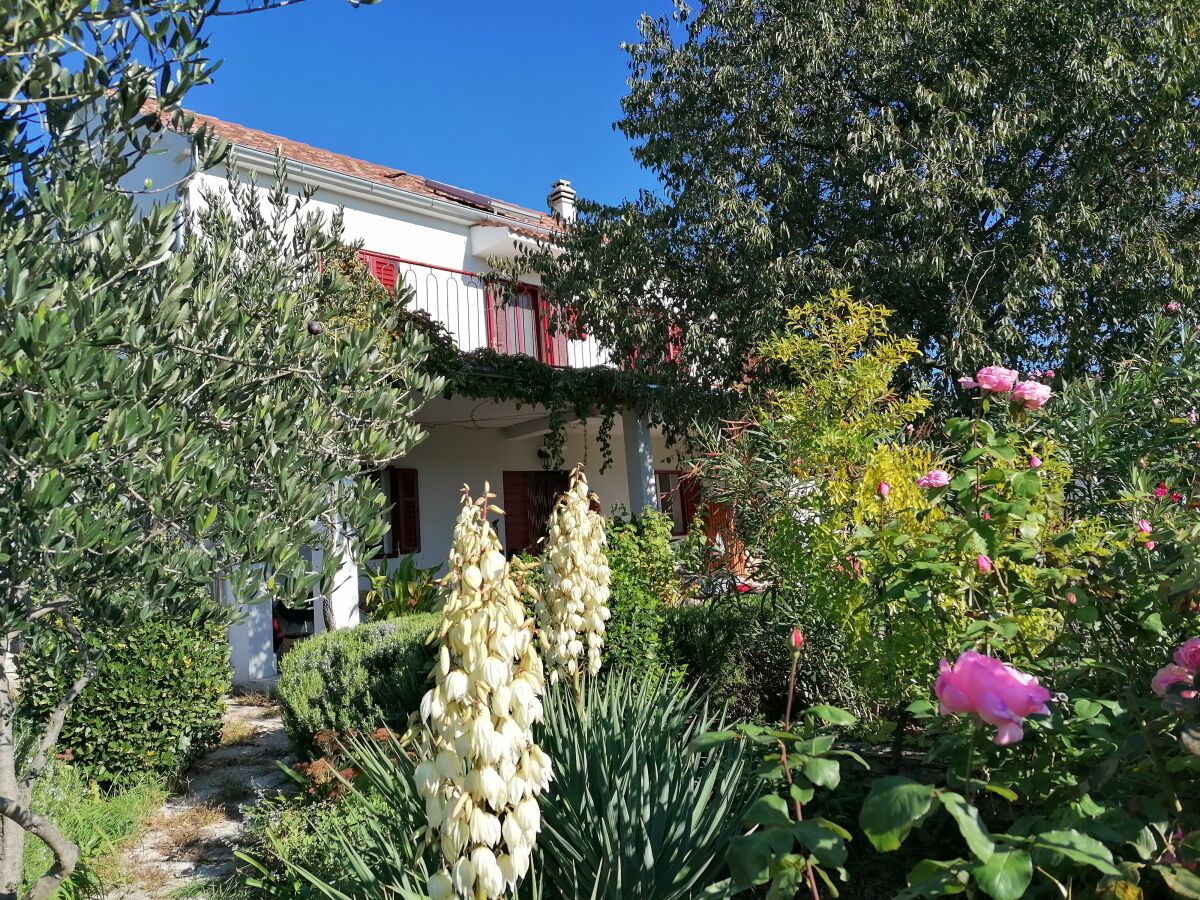 Blick vom Garten zum Haus