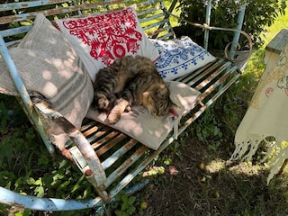 Unser Kater auf der Hollywoodschaukel