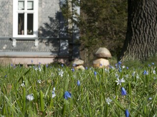 Ferienwohnung Gräfenroda Außenaufnahme 3