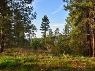 Vakantiehuis Coux-et-Bigaroque Buitenaudio-opname 7