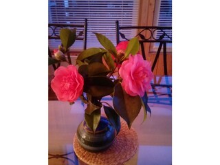 Casa per le vacanze Crozon Registrazione all'aperto 4