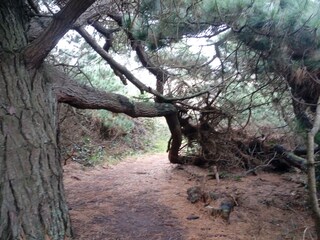 Casa per le vacanze Crozon Ambiente 24