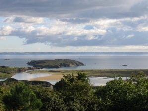 Holiday house Ti-ar-gwez (House of the trees) - Crozon - image1