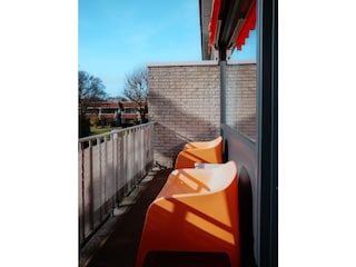 Holiday apartment Burgh-Haamstede Environment 10