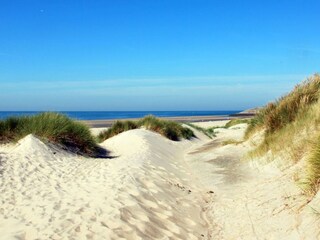 Beach and dunes