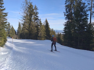 Langlaufparadies in 15 min. erreichbar