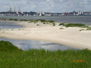Windjammerparade zur Kieler Woche