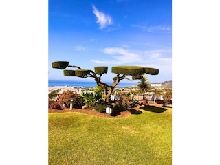 Vakantieappartement Nerja Buitenaudio-opname 4