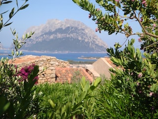 Ferienwohnung Porto San Paolo Umgebung 7